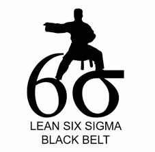 Certified Six Sigma Black Belt